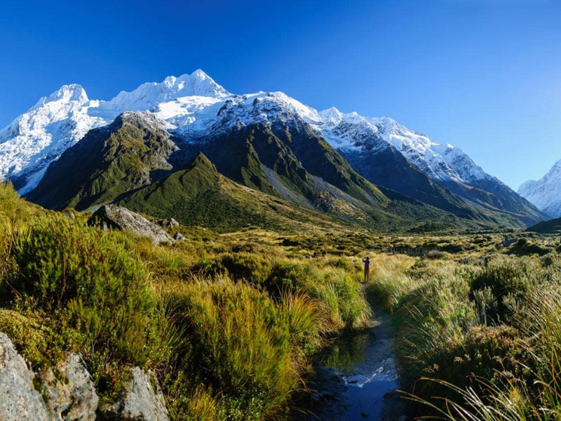 new zealand tour package from coimbatore