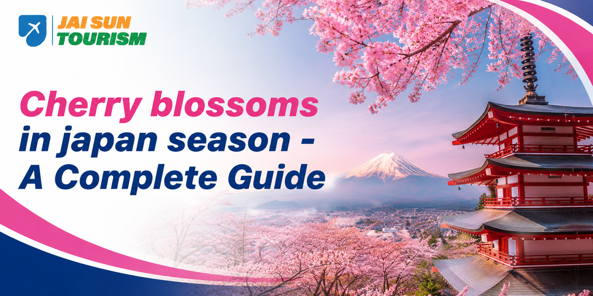 Cherry blossoms in japan season - A Complete Guide 